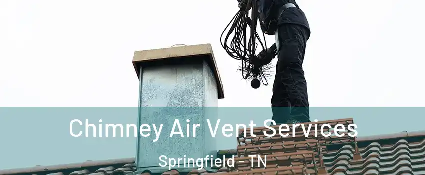 Chimney Air Vent Services Springfield - TN
