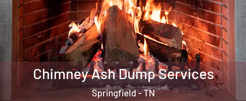 Chimney Ash Dump Services Springfield - TN