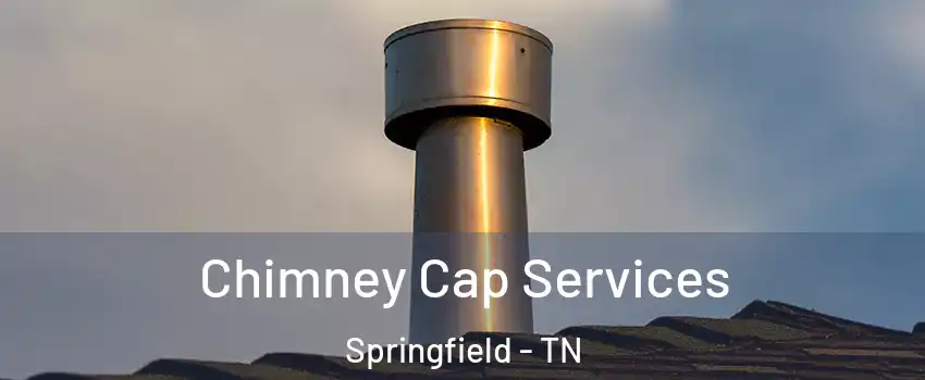 Chimney Cap Services Springfield - TN