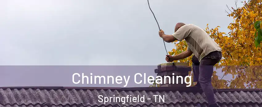 Chimney Cleaning Springfield - TN