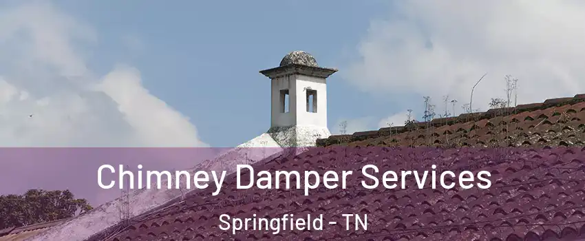 Chimney Damper Services Springfield - TN