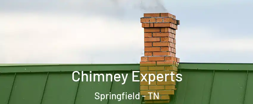 Chimney Experts Springfield - TN