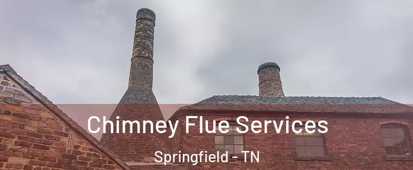 Chimney Flue Services Springfield - TN