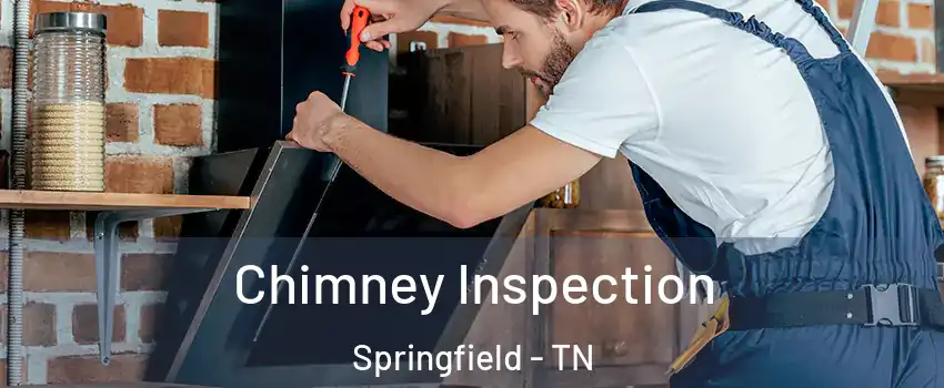 Chimney Inspection Springfield - TN