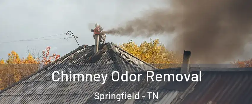 Chimney Odor Removal Springfield - TN