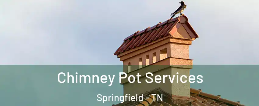 Chimney Pot Services Springfield - TN