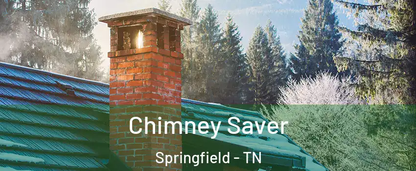 Chimney Saver Springfield - TN