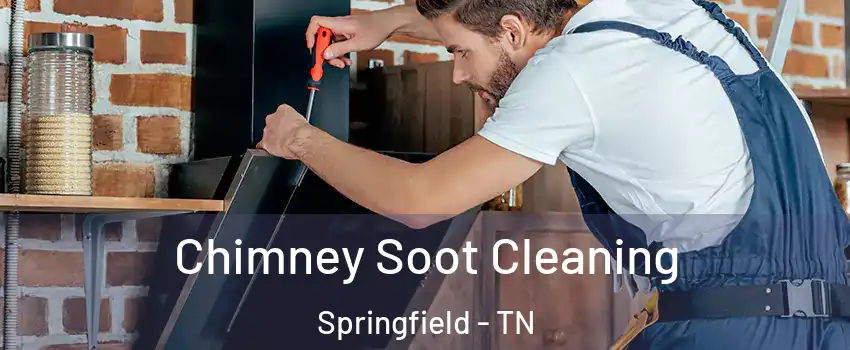 Chimney Soot Cleaning Springfield - TN