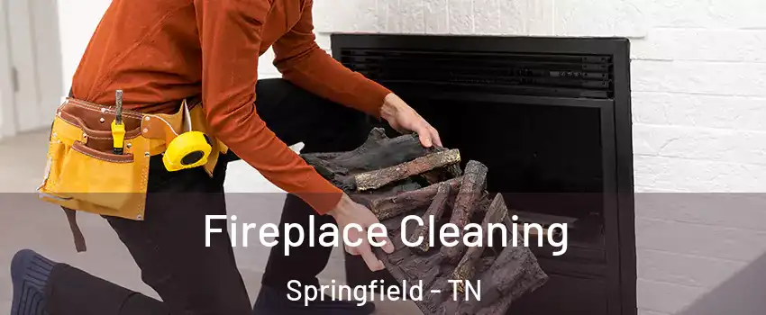 Fireplace Cleaning Springfield - TN