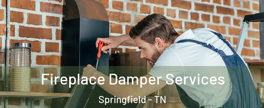 Fireplace Damper Services Springfield - TN