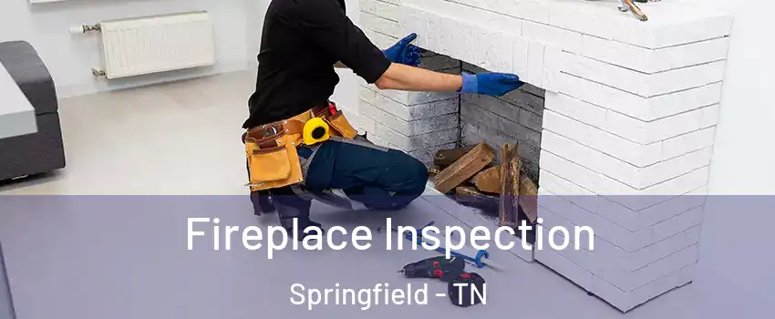 Fireplace Inspection Springfield - TN