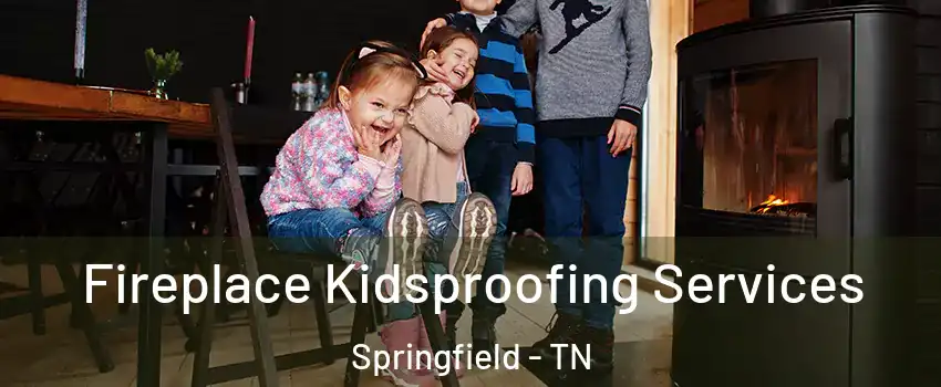 Fireplace Kidsproofing Services Springfield - TN