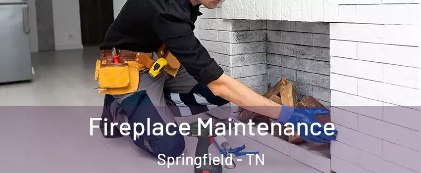 Fireplace Maintenance Springfield - TN
