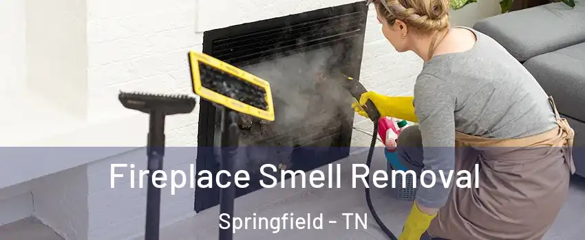 Fireplace Smell Removal Springfield - TN