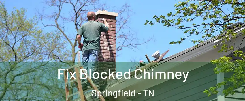 Fix Blocked Chimney Springfield - TN