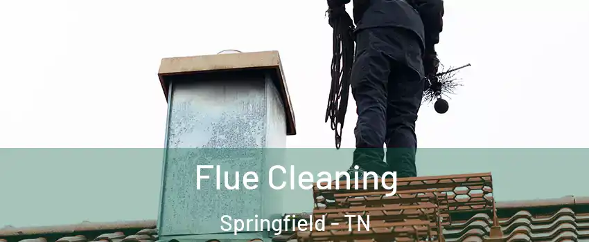 Flue Cleaning Springfield - TN