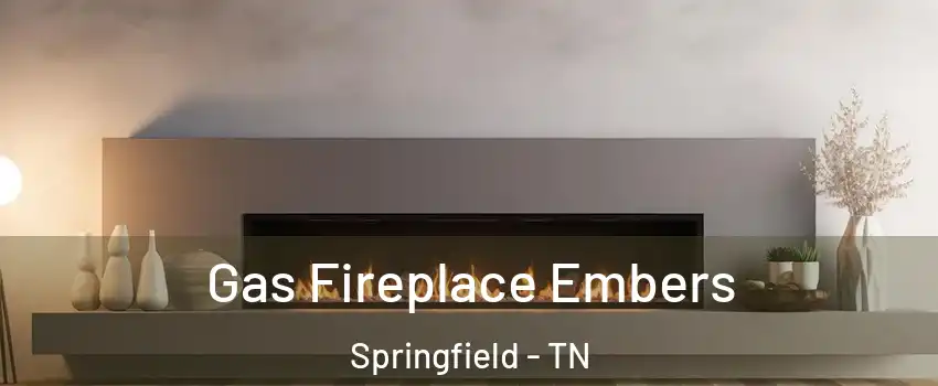 Gas Fireplace Embers Springfield - TN