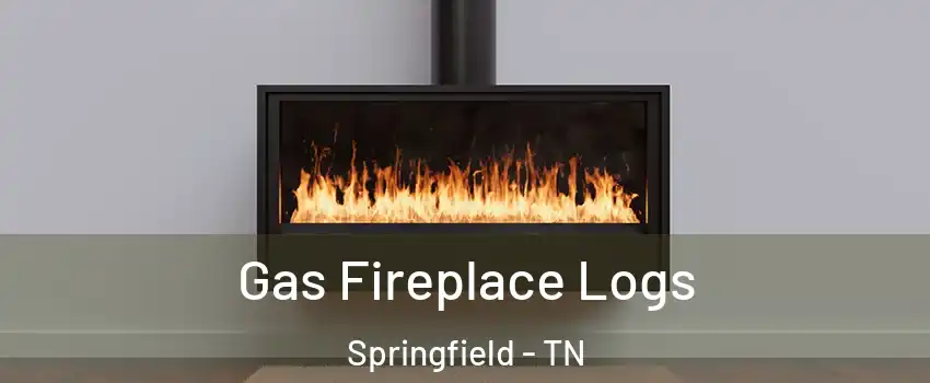 Gas Fireplace Logs Springfield - TN