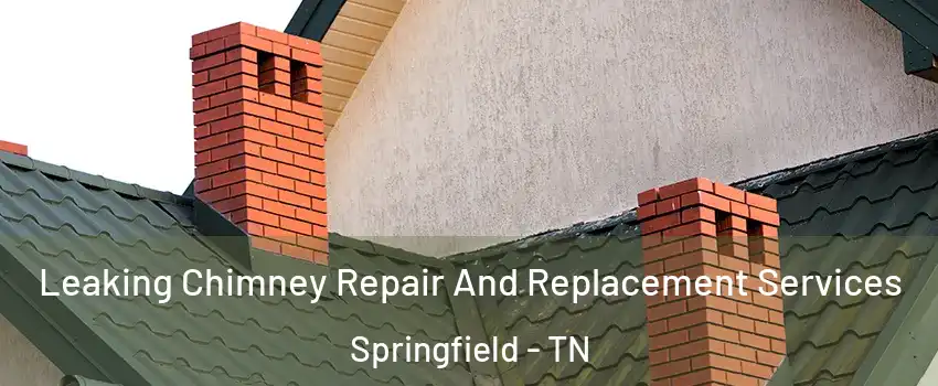 Leaking Chimney Repair And Replacement Services Springfield - TN