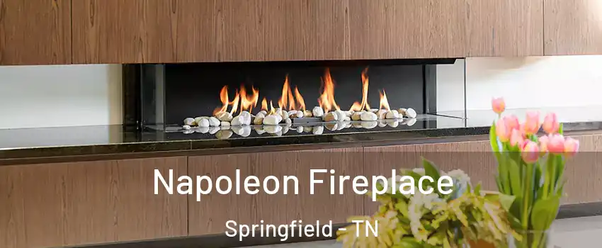 Napoleon Fireplace Springfield - TN