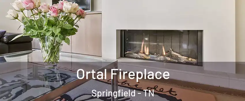 Ortal Fireplace Springfield - TN