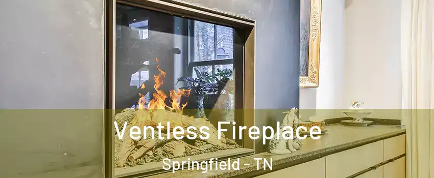 Ventless Fireplace Springfield - TN